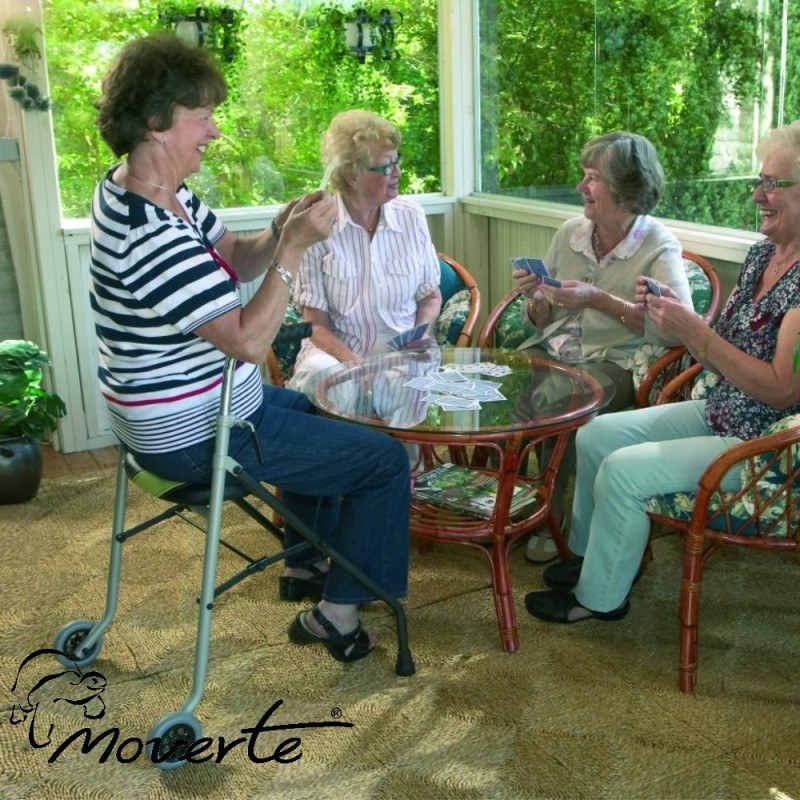 Caminador de 2 ruedas y asiento Actio2