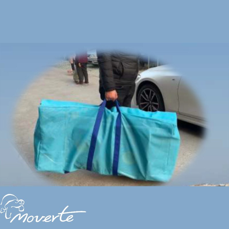 Bolsa viaje Silla tumbona para discapacitados Oceanic Sun