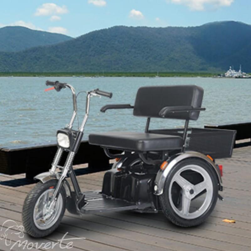 Afiscooter SE Asiento Doble para transportar a dos personas o para usuarios con sobrepeso Ortopedia moverte