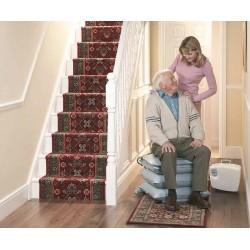 Cojín elevador de personas Mangar ELK 450 kg moverte.com 